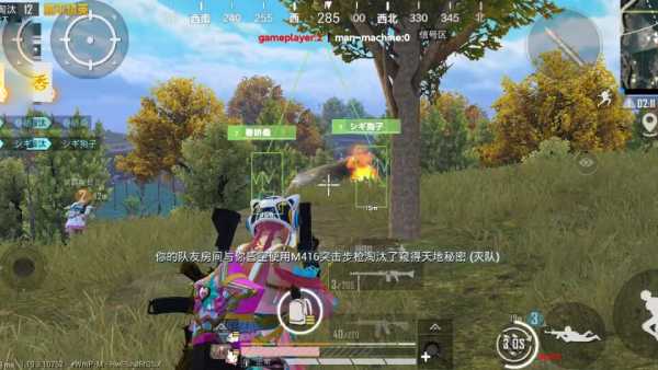 手机和平精英辅助透视
