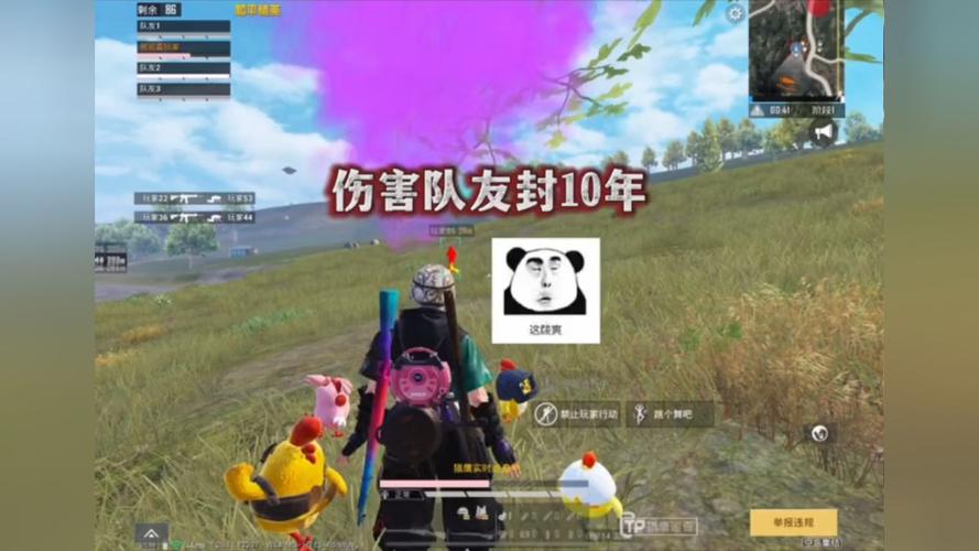 和平精英【逆境】辅助更新：新增防护插件，稳定体验再升及